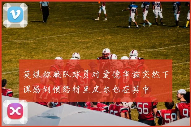 英媒称狼队球员对爱德华兹突然下课感到愤怒特里皮尔也在其中