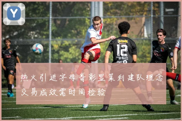 热火引进字母哥彰显莱利建队理念交易成效需时间检验
